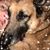 Marybeth Kafut's profile image