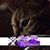 Sue Breeden's profile image