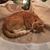 Susan Vickers Locke's profile image