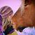 Lauryl Brisson's profile image