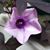 Beverly Jean Ward Reed's profile image