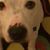 Patricia Walker's profile image