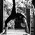 Shannon Kidwell's profile image