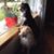 Ruth Rogers's profile image