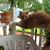 Gary Chapman's profile image