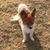 Orrie Nereim's profile image