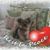 Tudy Ritchie Keister's profile image