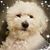 Nicolas Sanchez's profile image