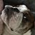Paula Marie's profile image