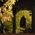 Karla Johnston's profile image