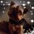 Michele Ann's profile image