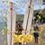 Tiffany Ramos Cardwell's profile image