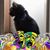 Donna Hemstad Verseput's profile image