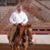 Charles Perkins's profile image