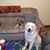 Paula Farris's profile image
