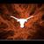 Steven Rodriguez's profile image