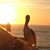 Terri Coker Marcum's profile image