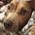 Nicole Fontenot's profile image