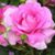 Nayef Zaim's profile image
