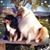 Susanne Mohr-Mackrell's profile image