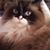 Barb Hedges's profile image