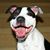 Kersten Grace's profile image