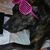 Rosa Hernandez Ortiz's profile image