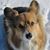 Linda McGuiness's profile image