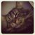 Kristi Deal's profile image