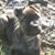 Tina Chamberlain's profile image
