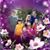 Susan Danley's profile image
