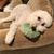 Tammy Hudson Hook's profile image
