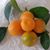 Qenie Washington's profile image