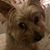 Cheryl LeClaire's profile image