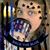 Sarah Lee's profile image