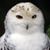 Gary M. Kubancsek's profile image