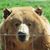Dave Potter's profile image
