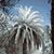 Gary Ludwick's profile image