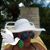 Sara Rodriguez's profile image