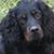 Carol LeFevre's profile image