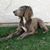 Barbi Ruby's profile image