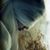 Manshuk Karassayeva's profile image
