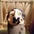 Donna Lomoro's profile image