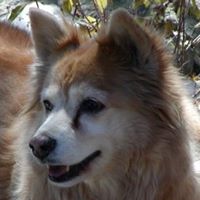Paul Gailard's profile image