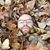 Jeff Vreeland's profile image