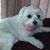 Linda Schmitz's profile image