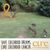 Sue Christian's profile image