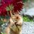 Kelly Ballenger's profile image