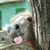 James Gardner's profile image
