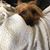Yolanda Cartagena's profile image